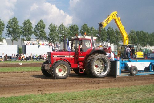 international 1455 sport.jpg